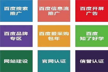 专业sem托管服务案例，揭秘广告投放优化策略